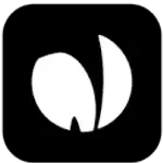 Nlpearl logo