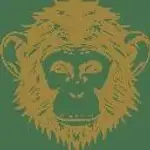 Omneky logo