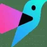 Pipio logo