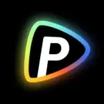 Pollo logo