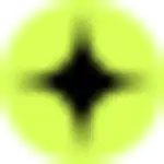 Raizer logo