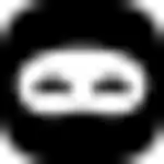 Revisiondojo logo