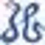 Sinovoice logo