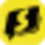 Skyreels logo