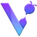 Vchoo logo