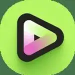Vidyo logo