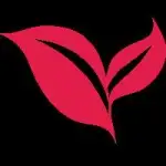 Yanqueai logo