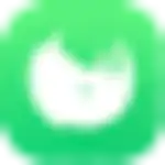 Zhixi logo