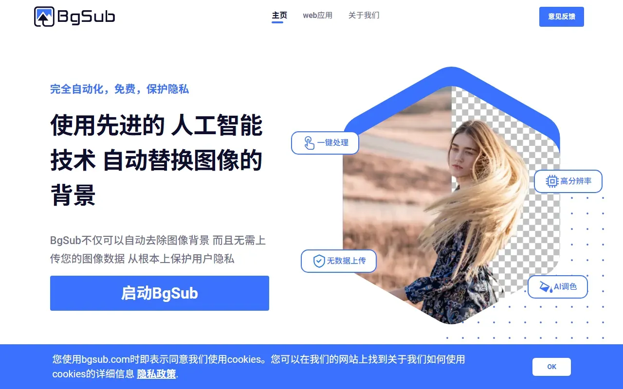 BgSub 截图