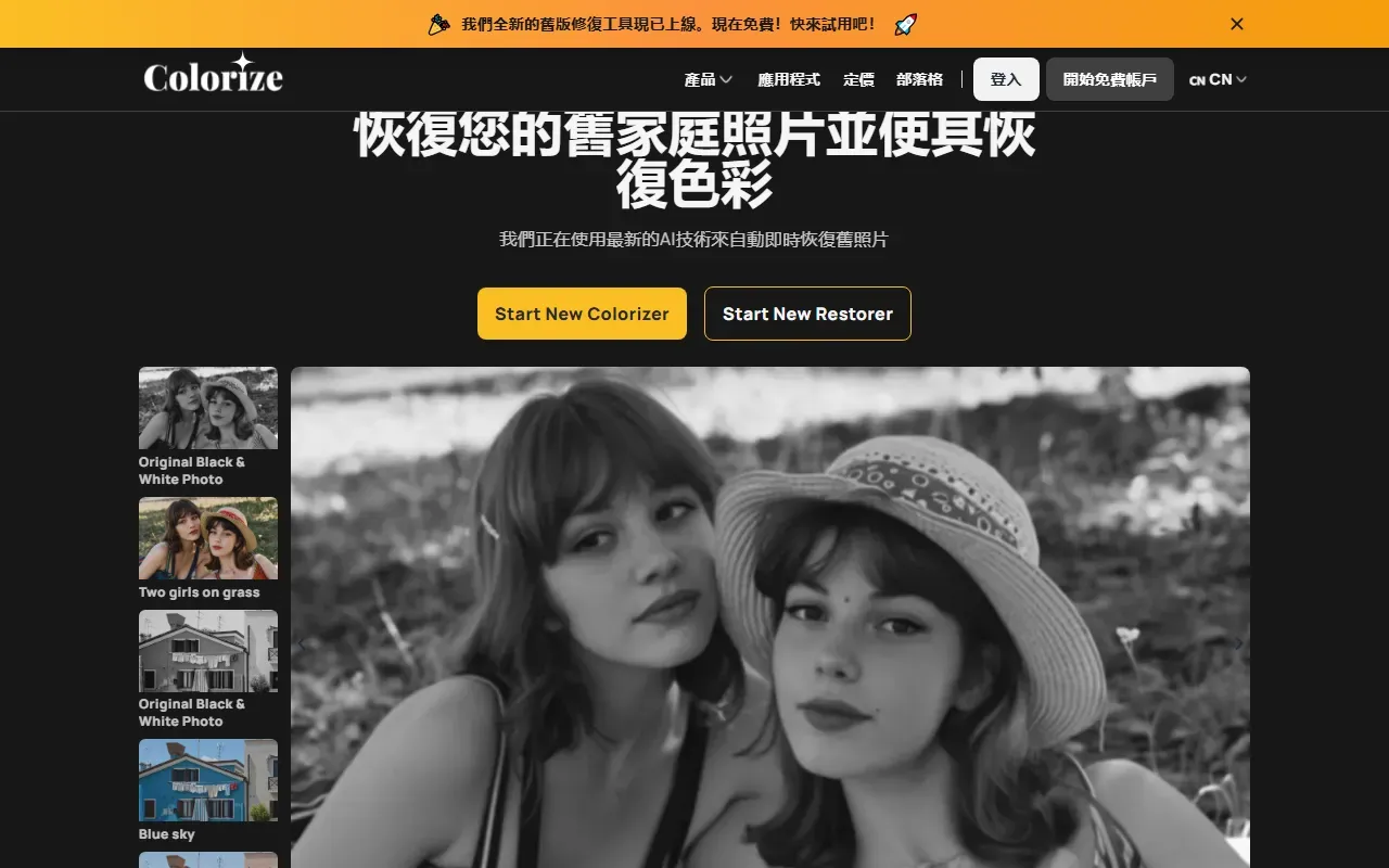 imagecolorize 截图