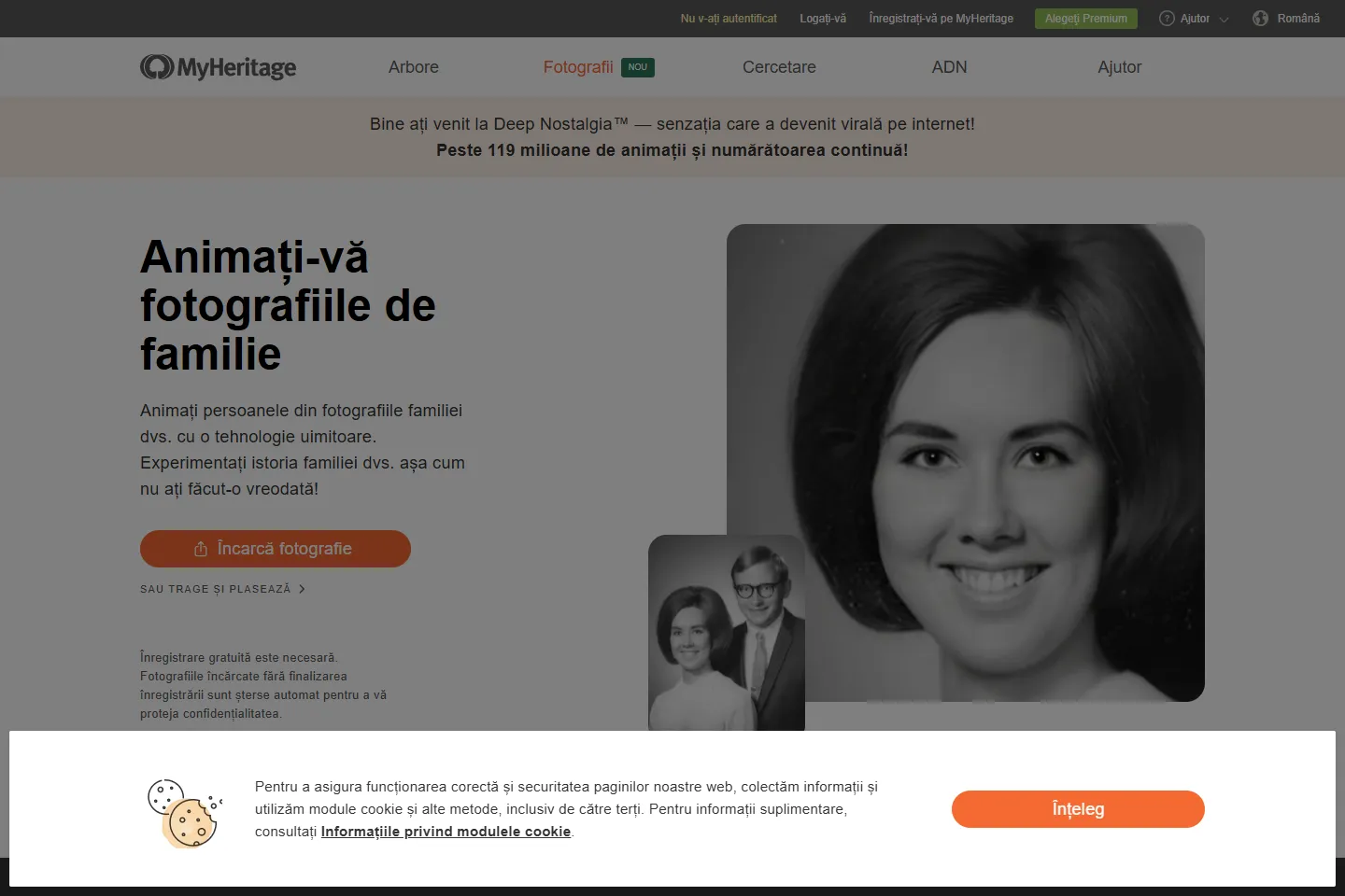 Myheritage 截图