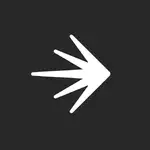 Launchdarkly MCP logo