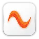 DICOM MCP Server (Fluxinc) logo