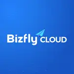 Bizflycloud MCP Server logo