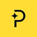 Paddle MCP Server logo