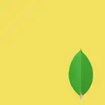 Mongodb MCP Server (Mongodb Js) logo