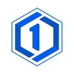1Panel MCP Server logo