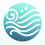 chinchillo logo