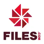 Files MCP logo