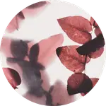 MCP Server Bear logo