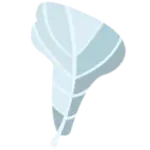 Expedition MCP logo