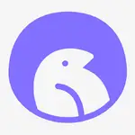 Indiepitcher MCP logo