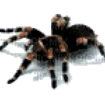 Qdrant Qwen3 logo