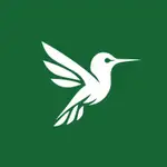 Hummbl Dev MCP logo