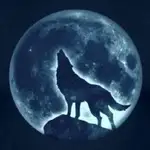 Unitymcpserver 17c655ce logo