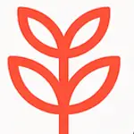 Laravel Debug MCP logo