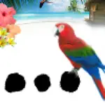 MCP Search Kivest logo