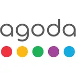 API Agent logo