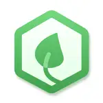 JSR MCP (Orgsofthq) logo