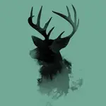 Fund MCP Server logo