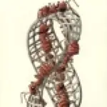 Agent Board logo