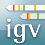 igv MCP logo