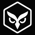 Blackswan MCP logo