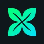 Crossmint Checkout MCP Server logo