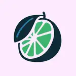 Sudachi AI MCP logo