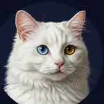 Openai Sora2 MCP Server logo