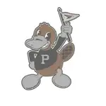 MCP Sumologic Pv logo