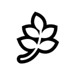 N8n MCP B1a44171 logo