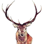 Searchconsole MCP logo
