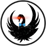Solodit API Skill logo