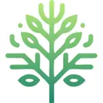 Remote MCP Server Bc169453 logo