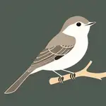 Remote Ebird MCP Server Authless logo