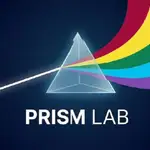 Prism Scanner 21bfb4fd logo